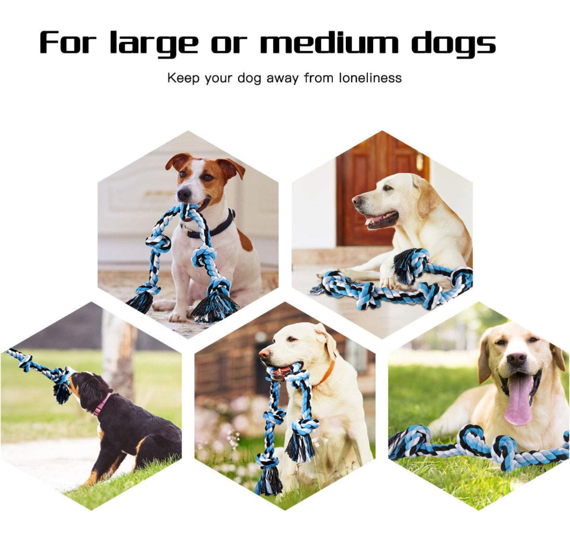 Dog Rope Toy