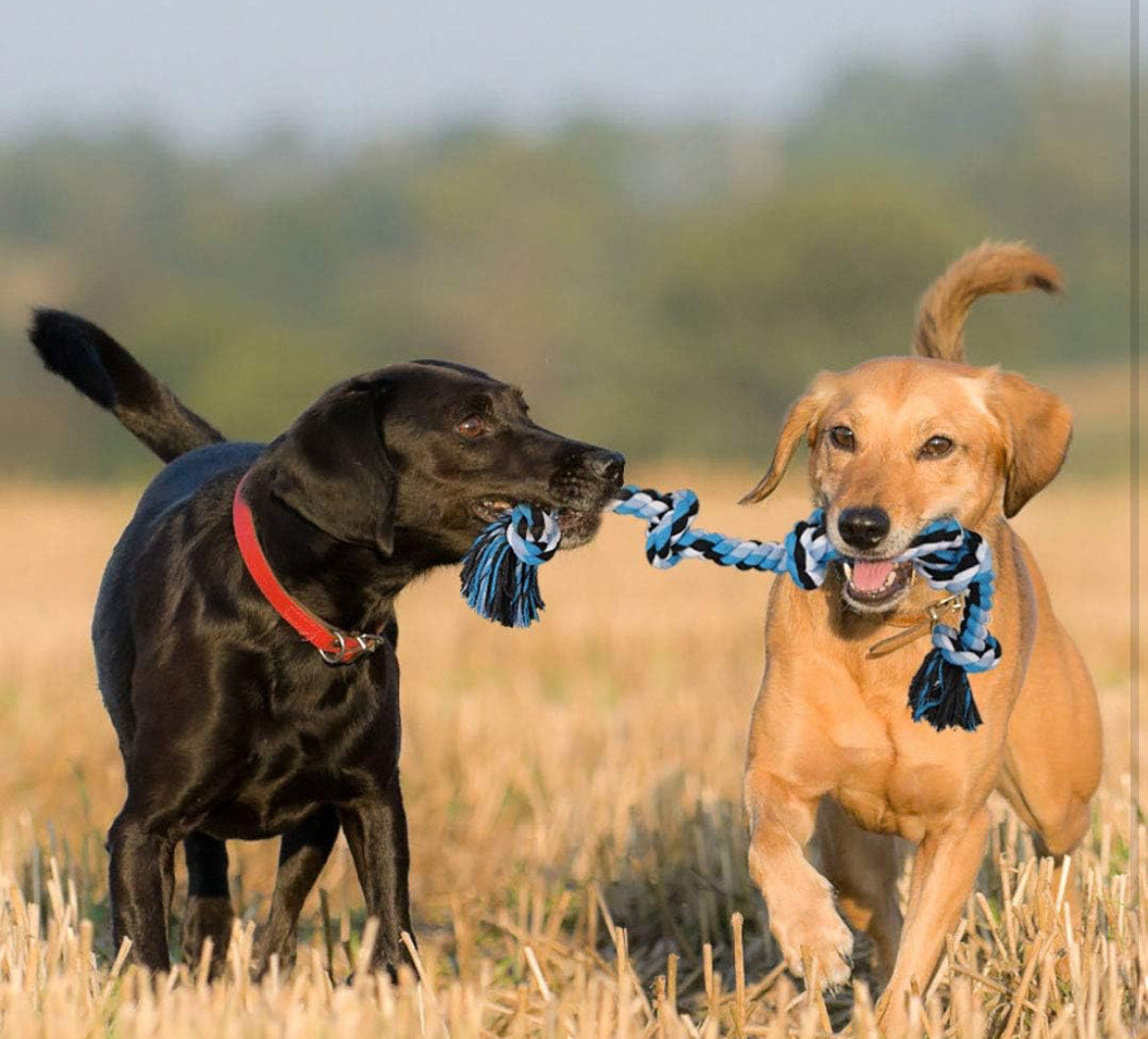 Dog Rope Toy