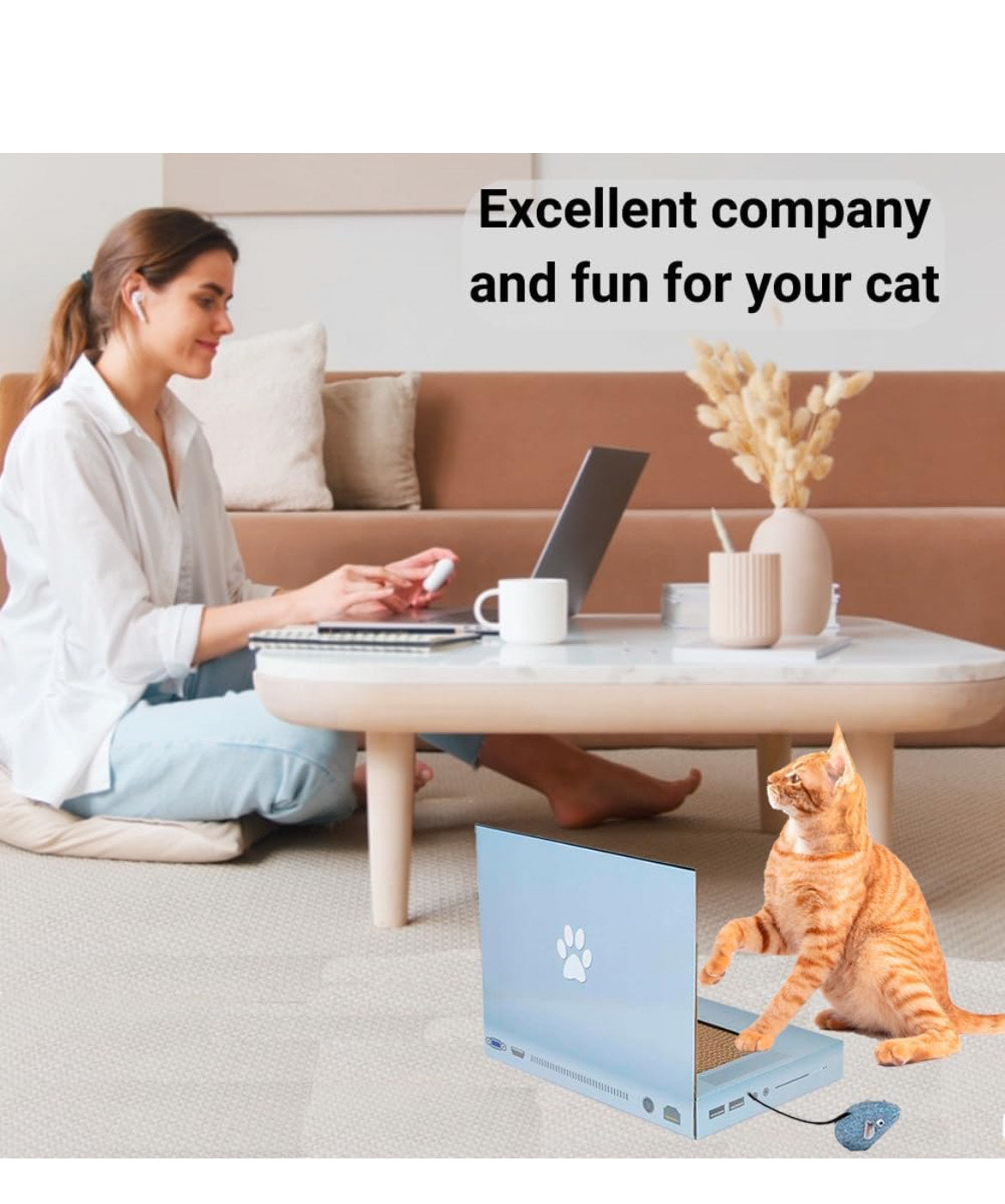 Cat Laptop Scratcher