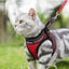 Cat harness