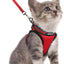 Cat harness