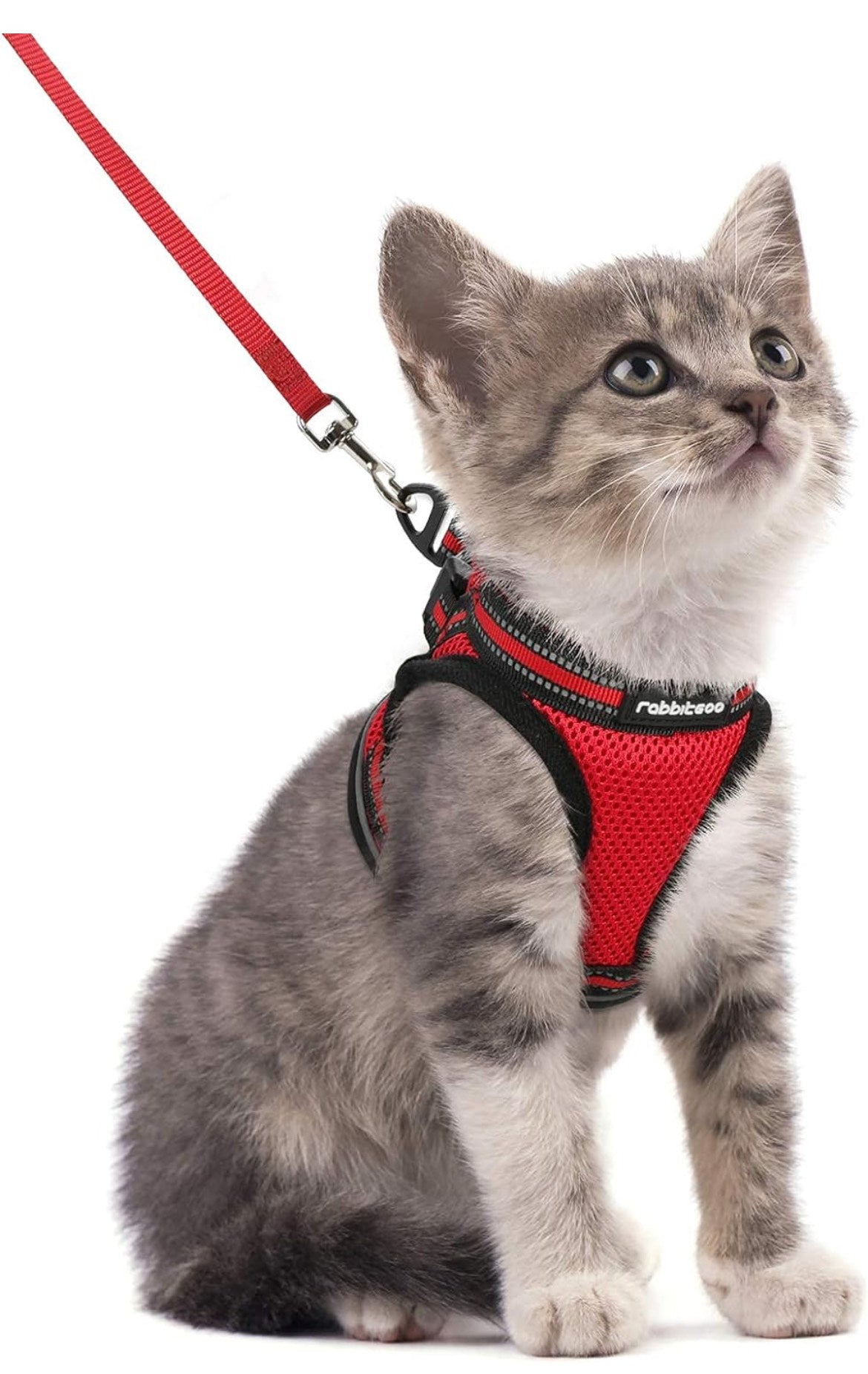 Cat harness