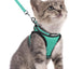 Cat harness