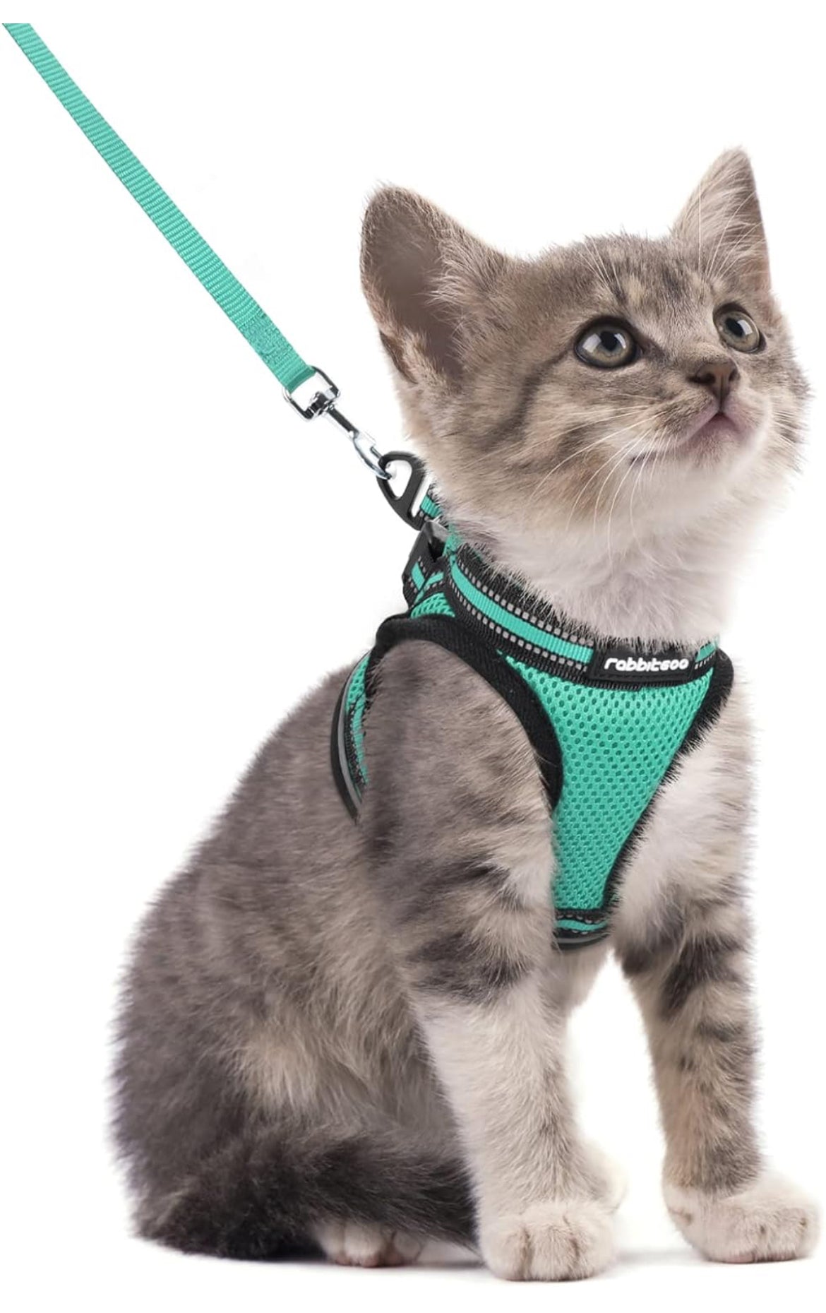 Cat harness