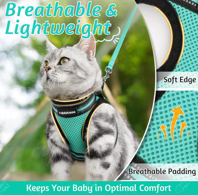 Cat harness