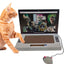 Cat Laptop Scratcher