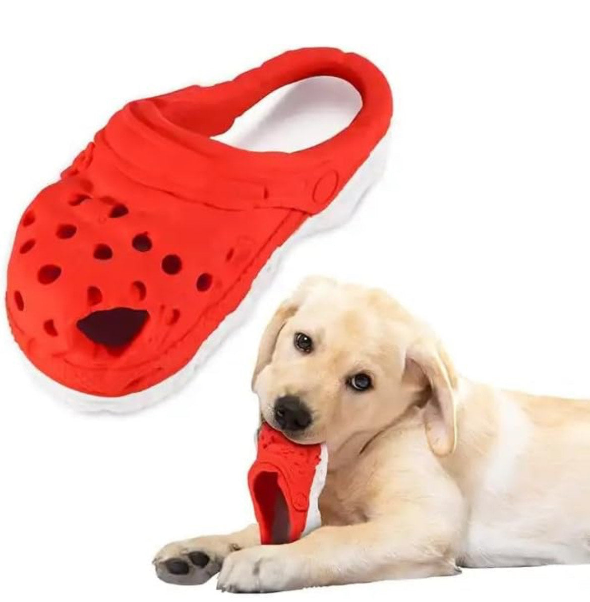 Slipper dog toy