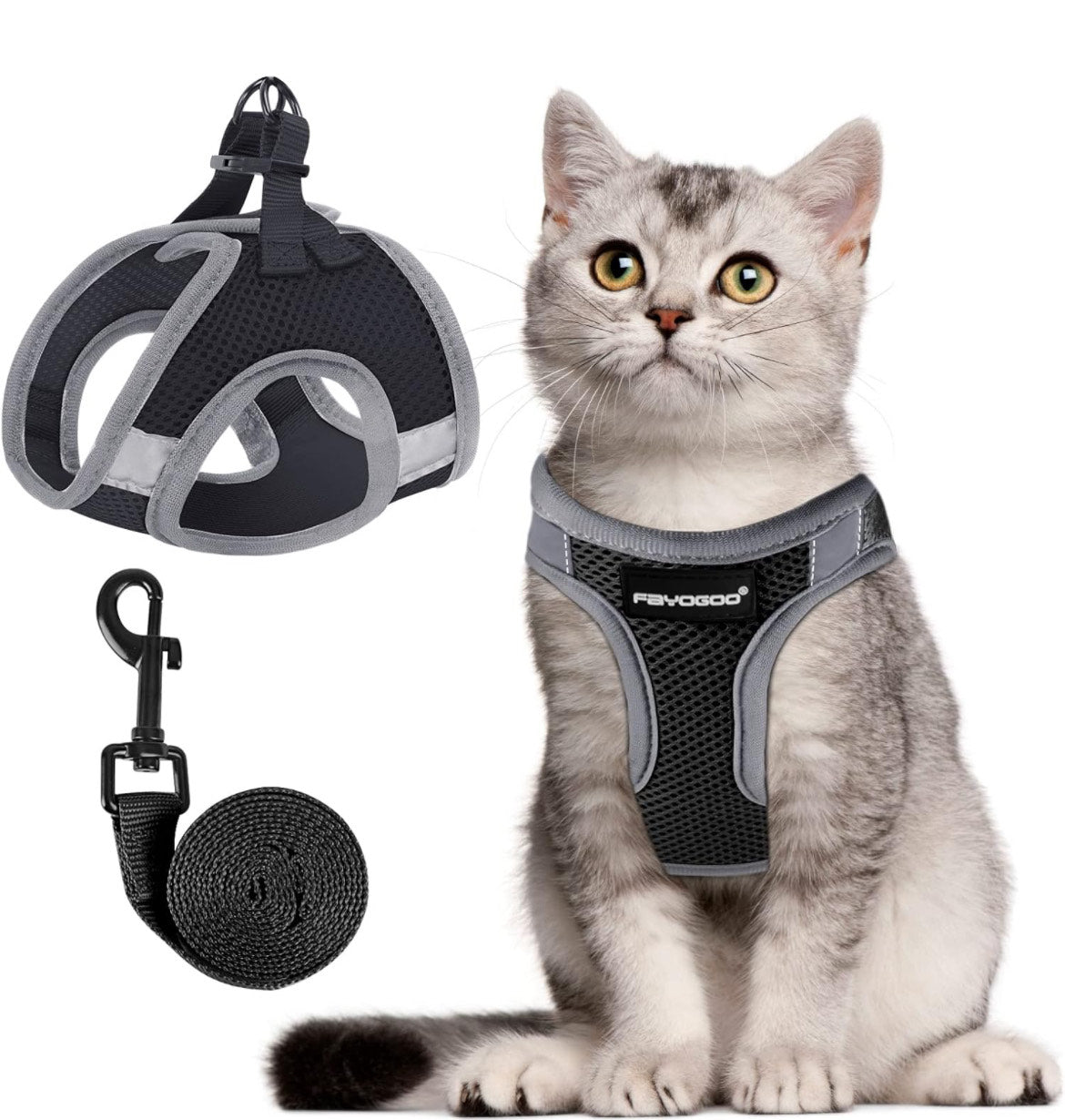 Cat harness