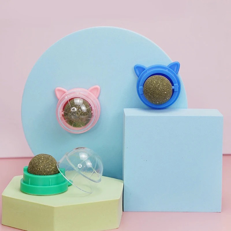 Catnip wall ball toys