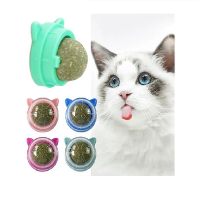 Catnip wall ball toys